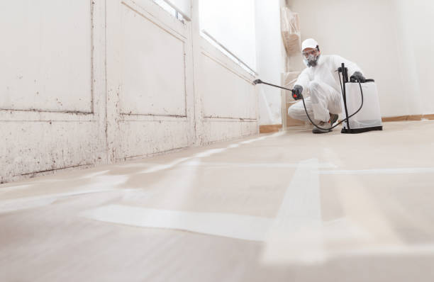 24/7 Emergency Mold Removal experts in Dolphin, VA