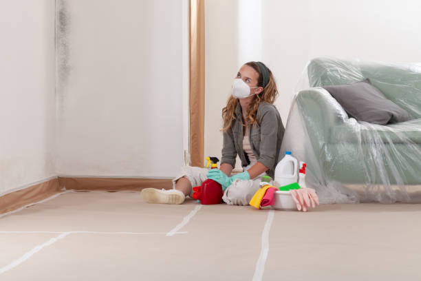 Reliable Mold Removal contractor in Dolphin, VA by WQB Mold Removal